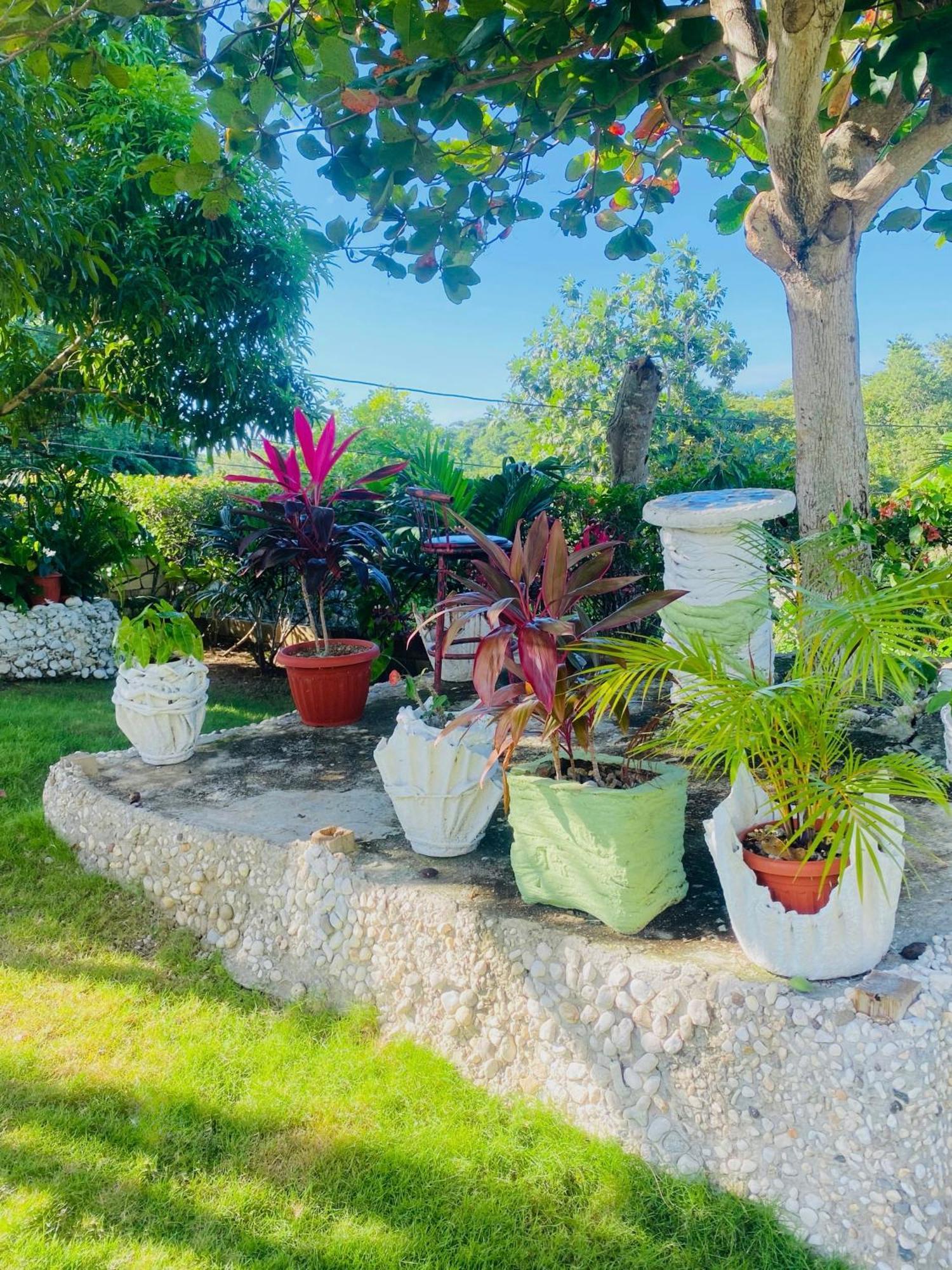 Cindy'S Garden Stay Ocho Rios Bagian luar foto