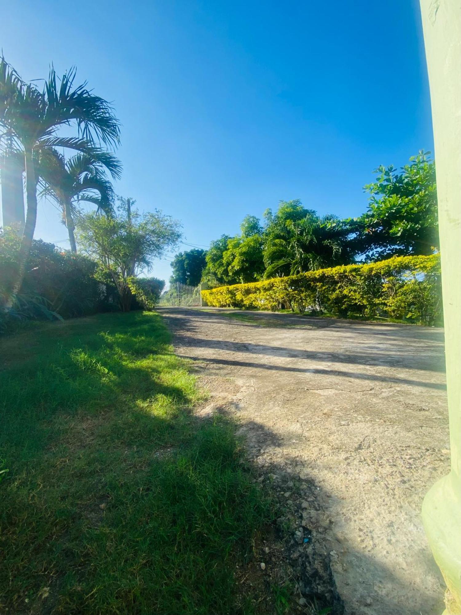Cindy'S Garden Stay Ocho Rios Bagian luar foto